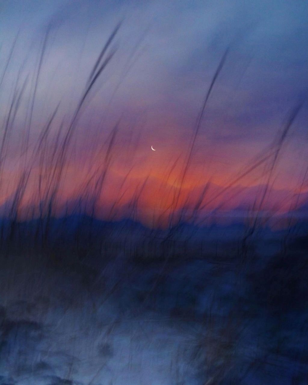 Th Shape Of Stillness