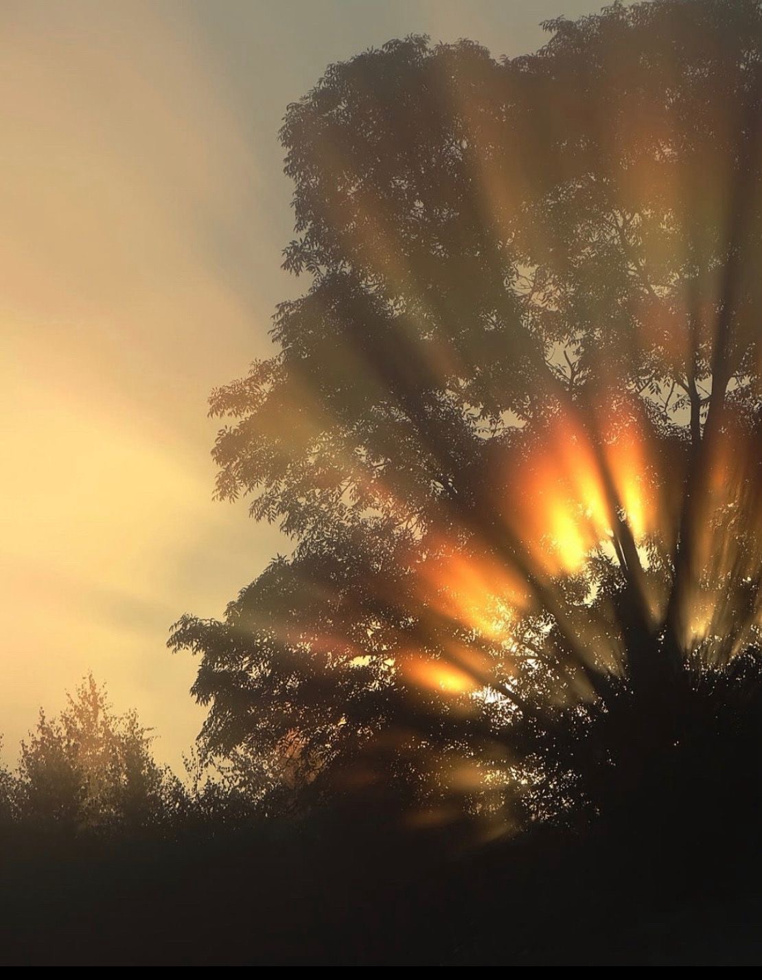 The Beauty of Slow Mornings: Reclaiming Time in a Fast World