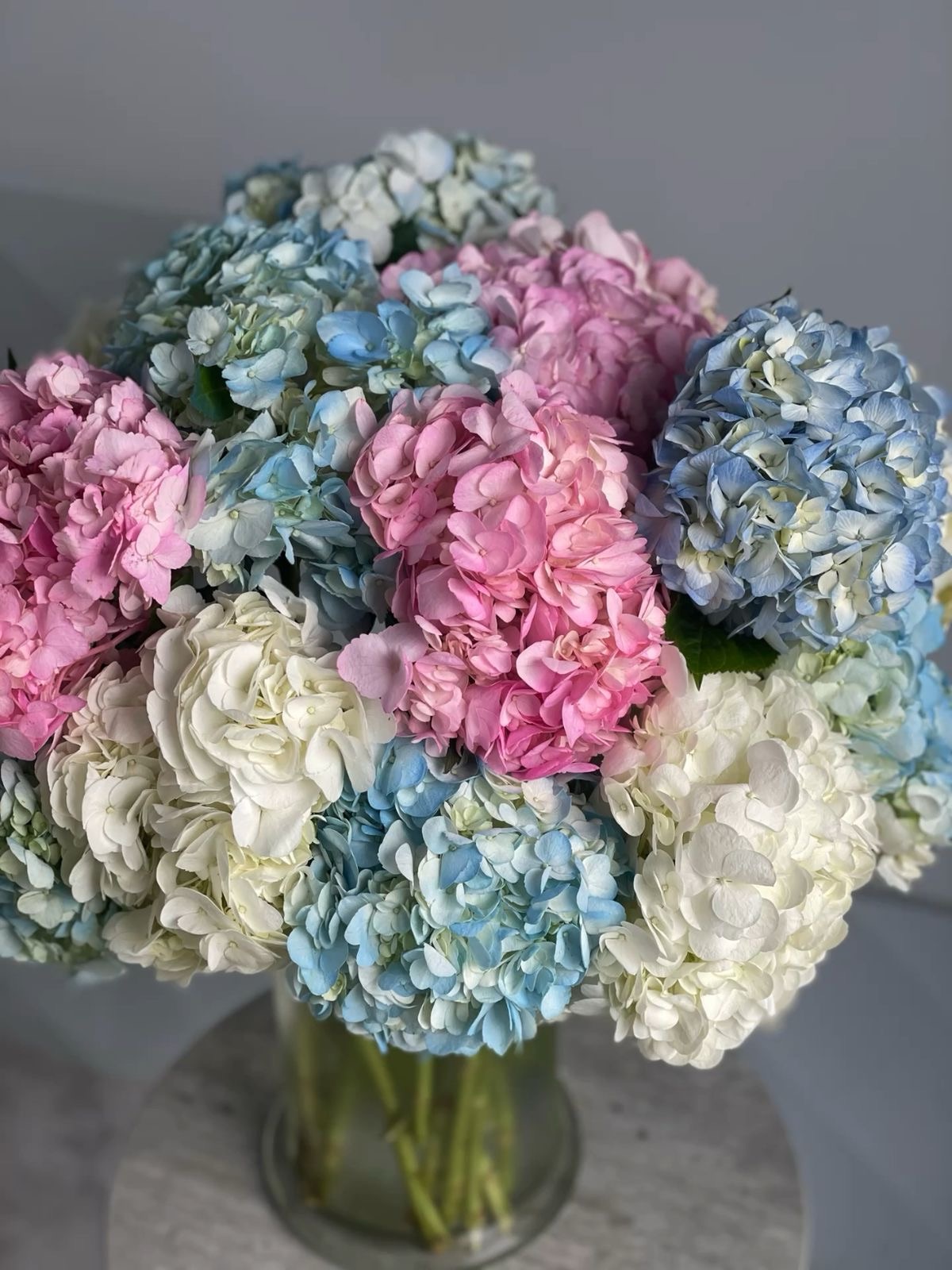 Hydrangea Theory: Why Not Everything Beautiful Blooms Where It Is Loved